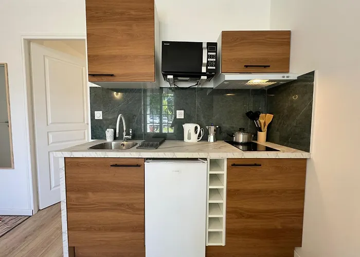 Les Lys Jaunes - 4pers - Wi-fi - Parking Gratuit 公寓 勒芒