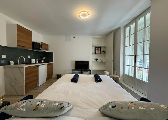 Les Lys Jaunes - 4pers - Wi-fi - Parking Gratuit 公寓